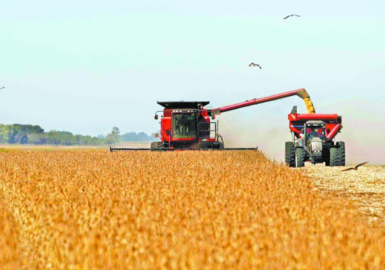 El Plan promete sumar 878,000 empleos en el sector agro en la próxima década, a los 3.7 millones que hoy representan el 24% del total de empleo registrado en el país y, propone alcanzar la carbono neutralidad para el 2050.