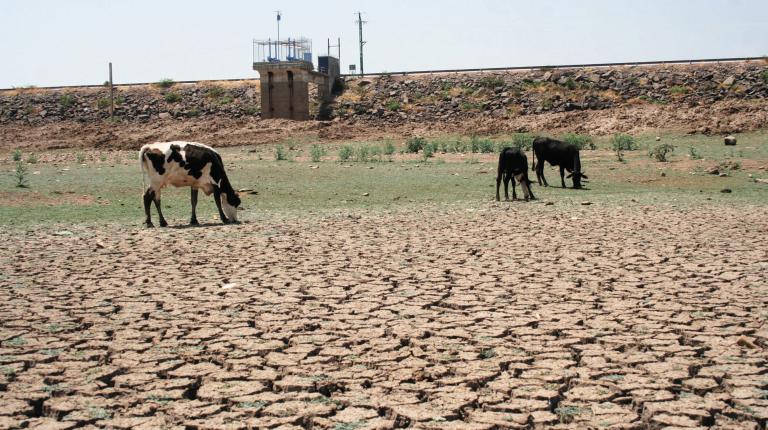 La presa Constitución de 1917, ubicada en la comunidad de La Estancia en San Juan del Río, Queretaro, se encuentra en un minimo histórico de agua. La falta de lluvia la mantiene vacia en un 99 por ciento, solo unos cuantos esteros de agua sobreviven y son aprovechados por los lugareños para consumo personal y de su ganado. Campesinos del lugar aseguran que hace muchos años que la presa ya no se llena y poco a poco se va secando.