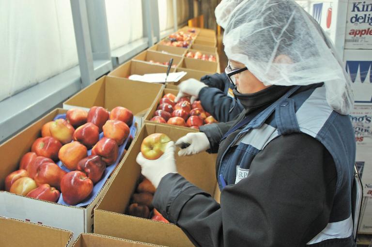 De las mujeres ocupadas, 91% declaró que trabajaban y realizaban tareas domésticas.