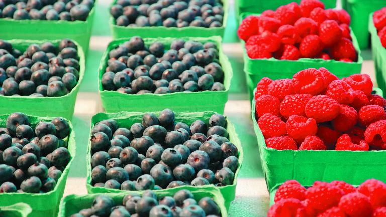 Blueberries,And,Raspberries,In,Box,Containers,At,A,Farmers,Market