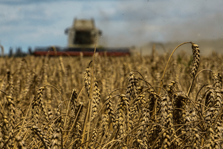 Los precios del trigo se vieron impulsados por el retraso de la cosecha de Kansas