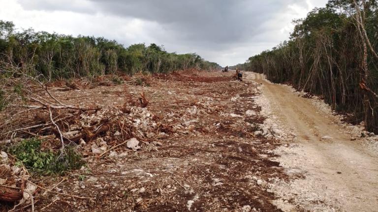 Alertan además sobre la falta de una vialidad que soporte el tráfico de carga para movilizar el balasto, lo cual implicará la muy posible destrucción de los manglares