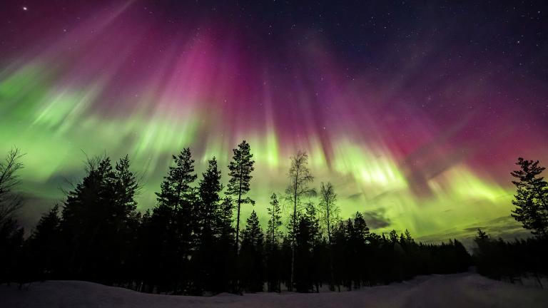 Finlandia. Foto: Reuters