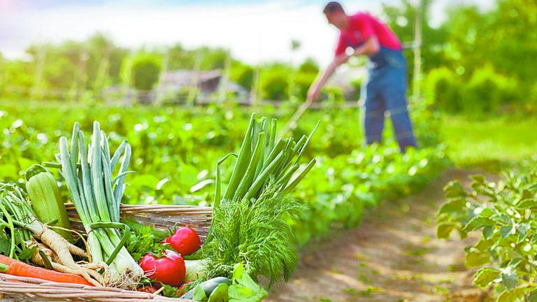 La alimentación sostenible también implica el consumo de alimentos locales y de temporada