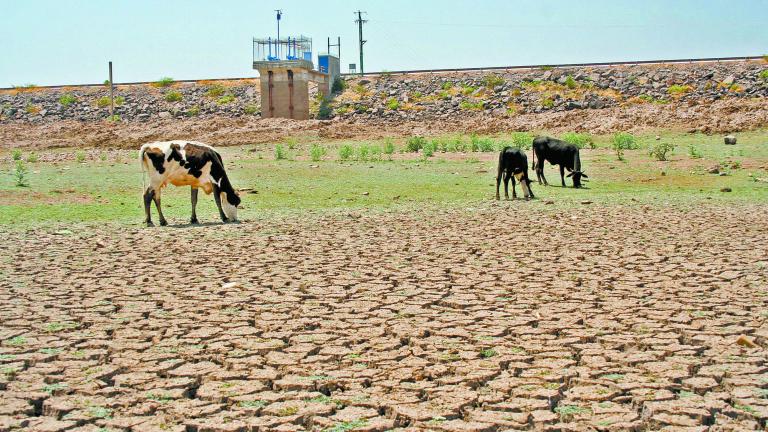 El mayor número de presas se encuentran por debajo de 50%, con 75 embalses.