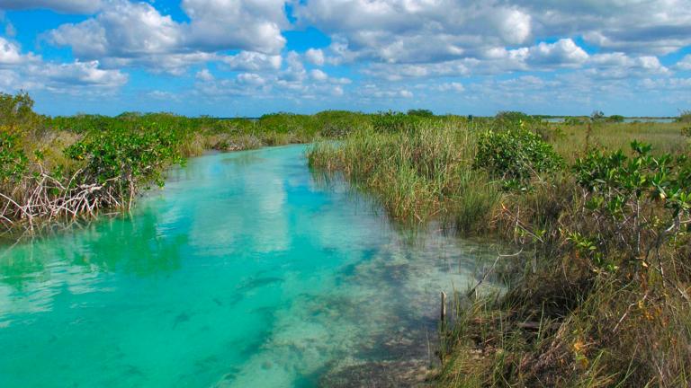 Reserva de la Biosfera Sian Ka’an. Foto EE: Cortesía Semarnat