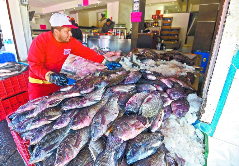 México ocupa actualmente el noveno lugar como productor de tilapia en el mundo y tercero en Latinoamérica, al sumar 115,000 toneladas.