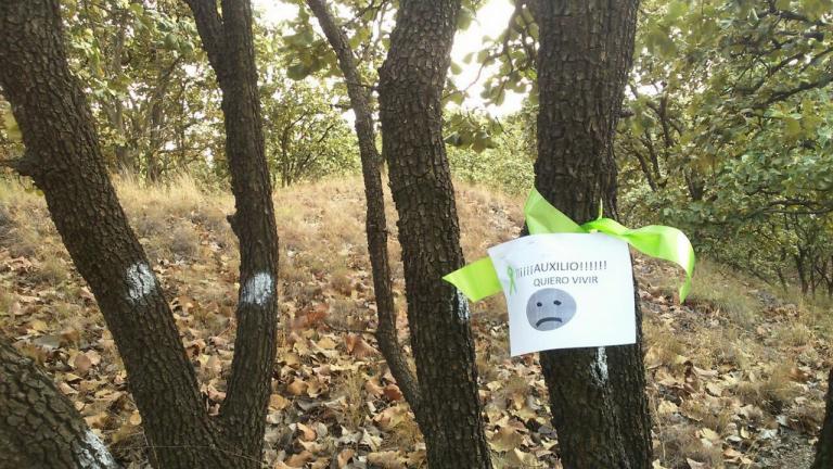 Los permisos para el fraccionamiento en la zona de amortiguamiento del bosque La Primavera se otorgaron en 2015. Foto: Cortesía Unión de Colonos de la Puerta Sur