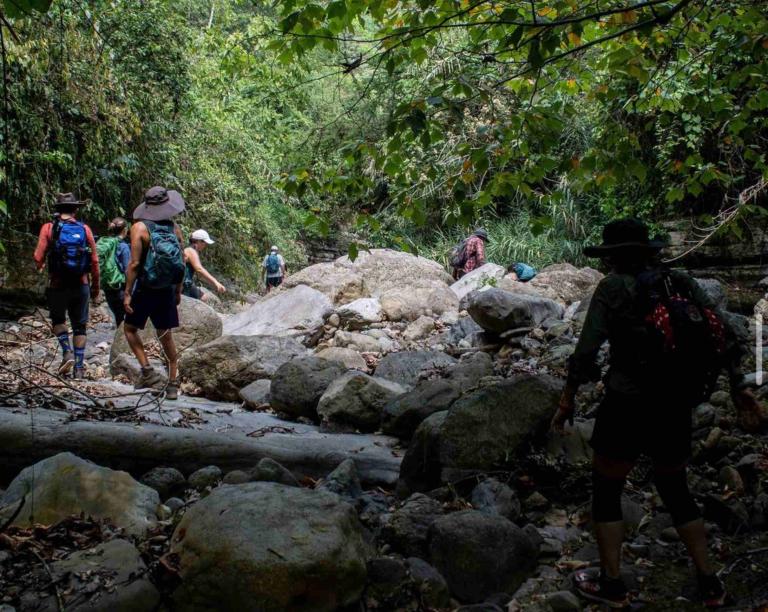 La empresa tiene cinco años de operación y ha llevado a más de 5,000 turistas y a 7,000 personas de diferentes grupos empresariales a realizar caminatas.