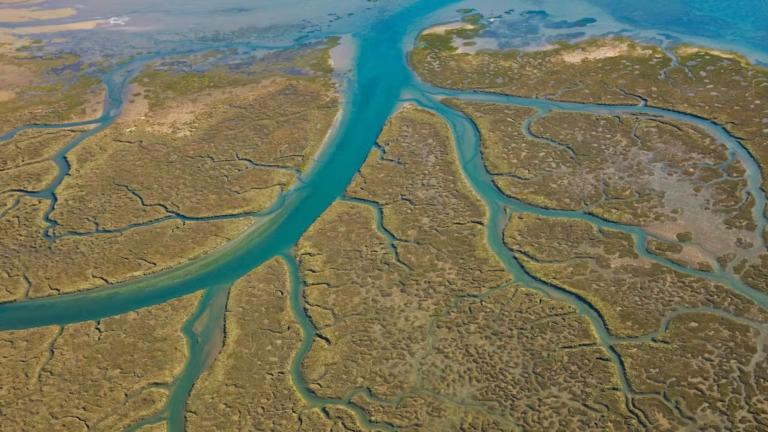 Marismas del Odiel en la ría de Huelva, España, una zona húmeda con importante valor ecológico. Foto: Shutterstock