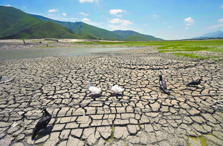 Los estados del norte del son y han sido los más afectados por la escasez de agua en México. Foto: AFP