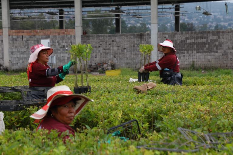 Unidades productivas agrícolas, otro modelo de conservación del hábitat. Foto EE: Rosario Servin