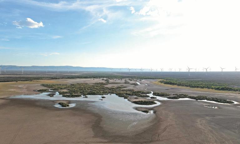 Ramos Arizpe, Coahuila. Foto: Cuartoscuro