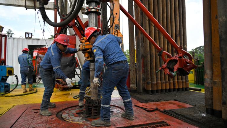 La petrolera de Ecuador explicó que el campo Sacha se consolidó como el más productivo. Foto: AFP.