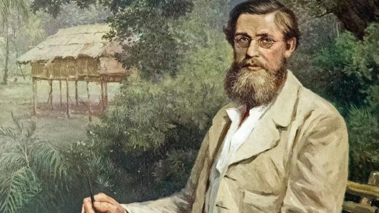 Alfred Russel Wallace (1823-1913). Foto EE: Cortesía Museo Nacional de Ciencias Naturales.