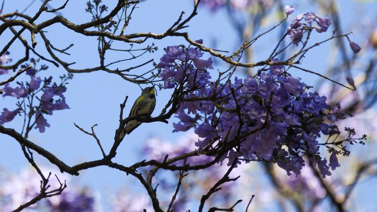 Foto: Reuters