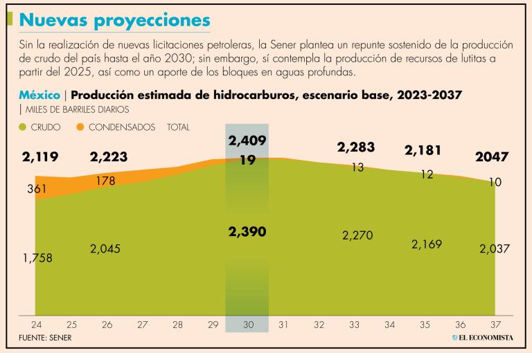 Dentro de las premisas consideradas por la dependencia federal para sostener sus pronósticos, destaca la relativa a los recursos shale