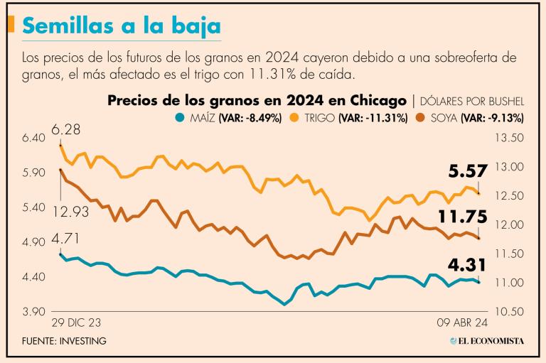 La mayor reducción la registraron los futuros del trigo, que cedieron 11,31%, para llegar a los 5,57 dólares por bushel