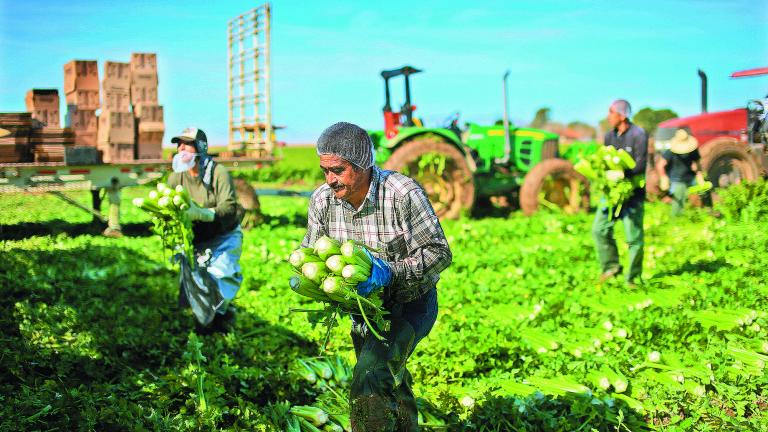 US-ECONOMY-MIGRANTS-FARMING