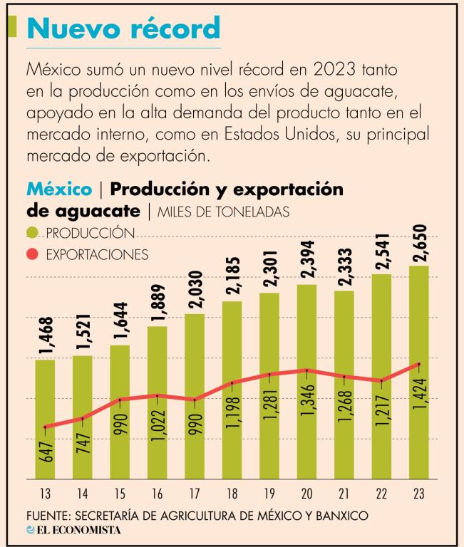 La producción mexicana de aguacate desde 2013 registró un crecimiento acumulado de 80.7%