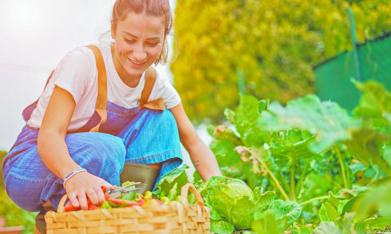 Educación. Capacitar a la comunidad sobre una dieta nutritiva en línea con el cuidado ambiental, compromiso. Foto: Shutterstock