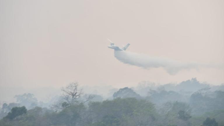 Las acciones aéreas se concentran en el parque natural Laguna del Tigre. Foto EE: Cortesía.