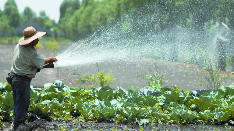 FILE PHOTO: Dry water channels in Xochimilco, Mexico City