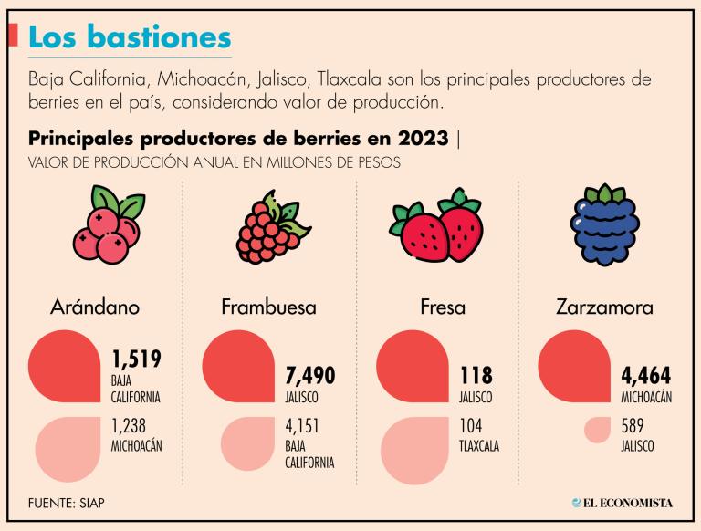 Aunque la situación ha afectado a todas las berries, la variedad más golpeada, incluso con una fuerte caída en su precio, es la de los blueberrie