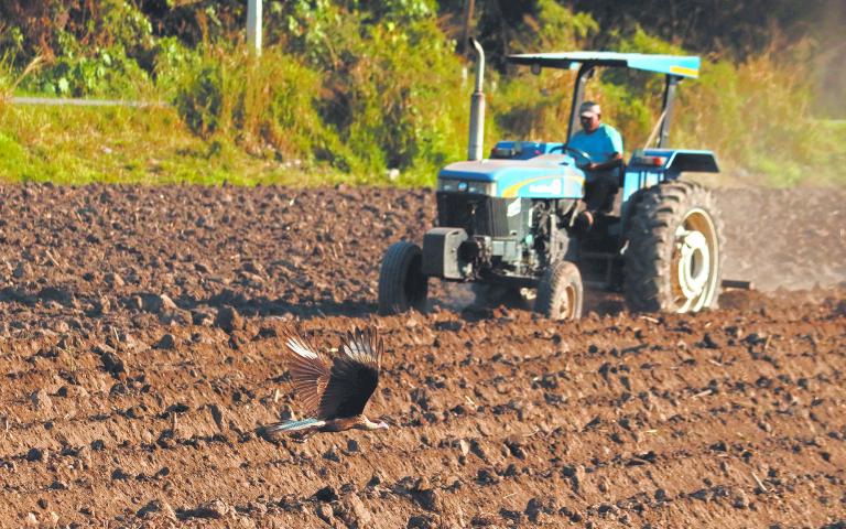 El ciclo productivo en el hemisferio norte está en marcha, mientras que en el hemisferio sur está por concluír. Foto: Cuartoscuro