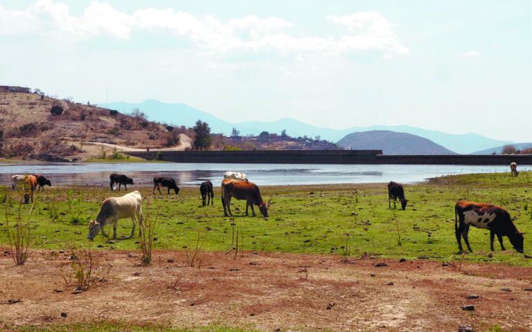 Oaxaca Sequ�a Presas-4