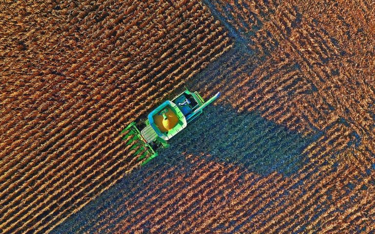 FILE PHOTO: Farmer Roger Hadley harvests corn from his fields in Woodburn, Indiana,