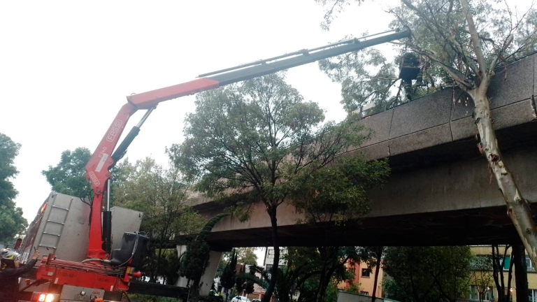 Foto EE: Cortesía X / @MetroCDMX