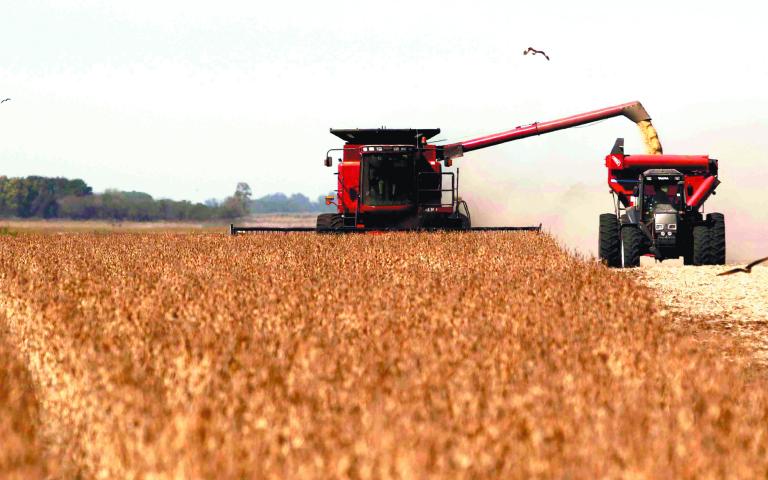 Las exportaciones agro en Argentina sumaron 2,616 mdd en julio, su mejor valor en el año. Foto: Especial