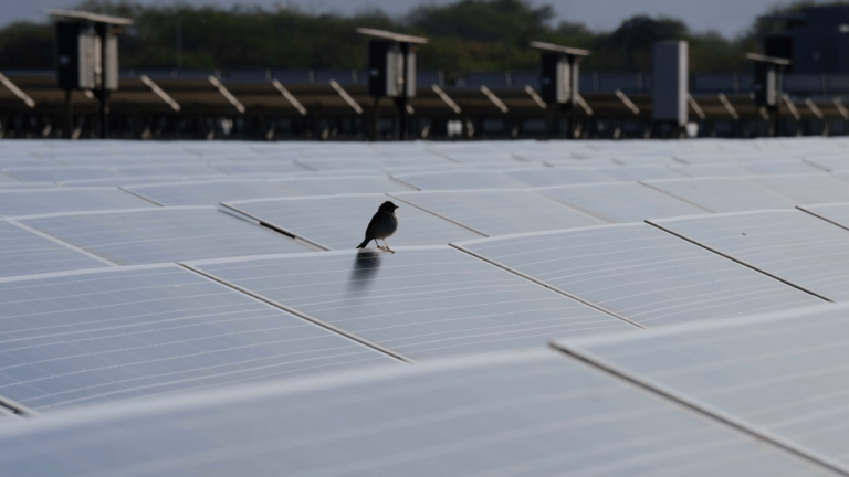 Foto: Agencia Estatal de Energía Jalisco