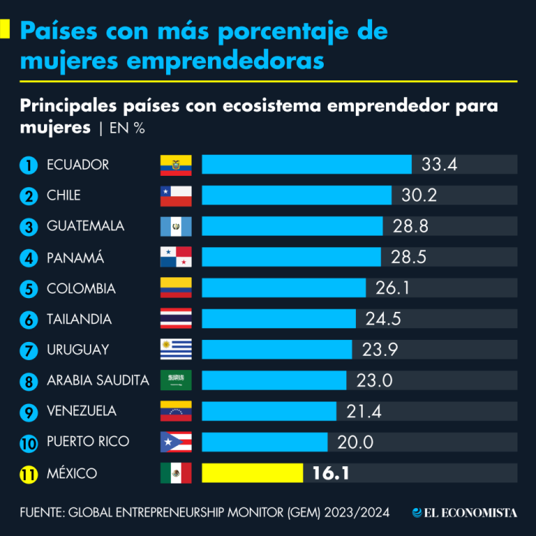 Infográfico EE