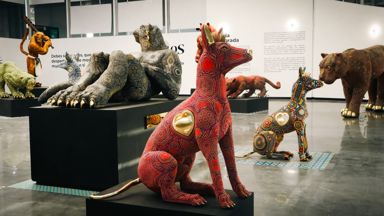 Exposición Somos Guardianes.