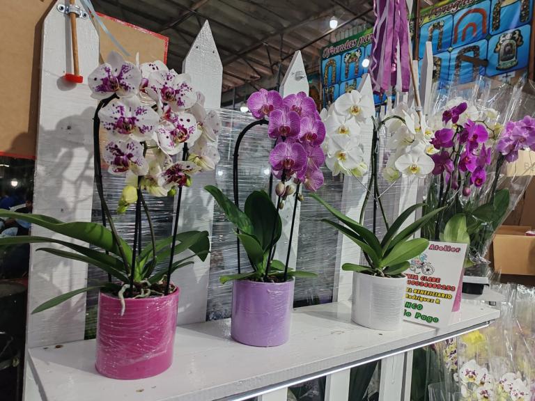 Florería Atelier.