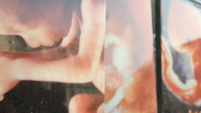 Foto: EE: Archivo