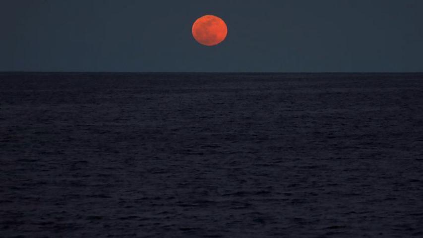 Foto: Reuters