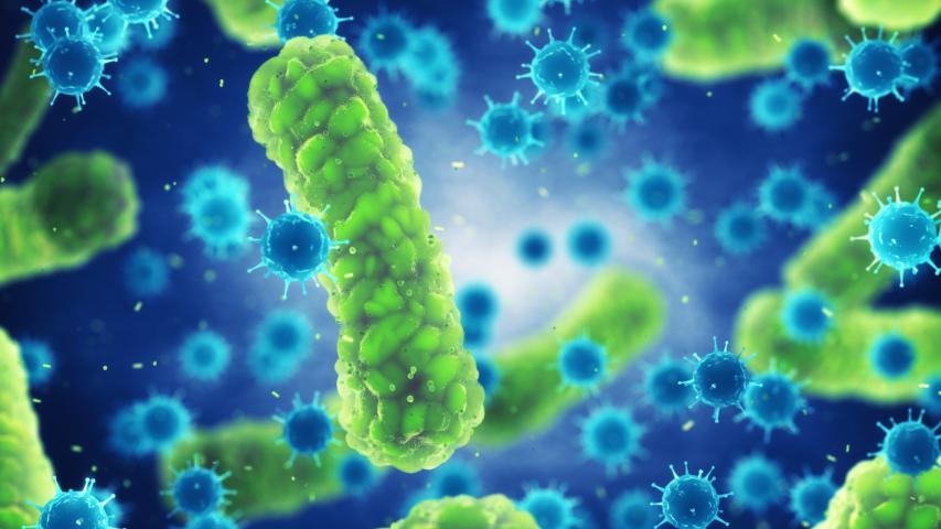 Reproducción. Hasta 5,000 millones de bacterias en16 horas. Foto: Shutterstock