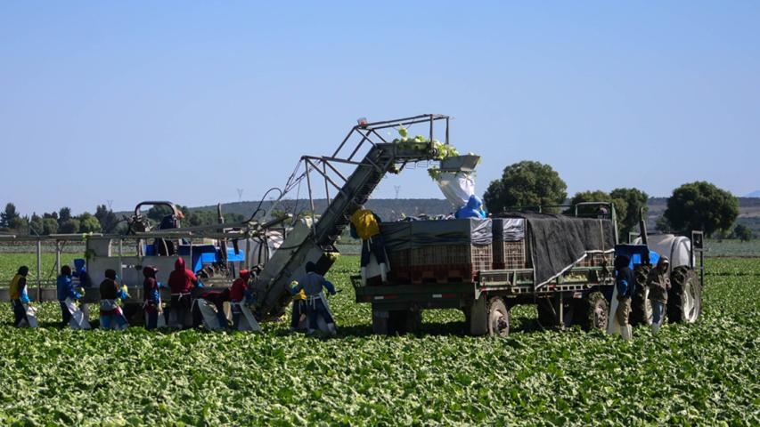 La construcción (4,000 millones), agricultura (2,500 millones), así como alimentos y bebidas (1,400 millones) fueron las tres industrias más grandes dependientes de la naturaleza. Foto EE: Archivo