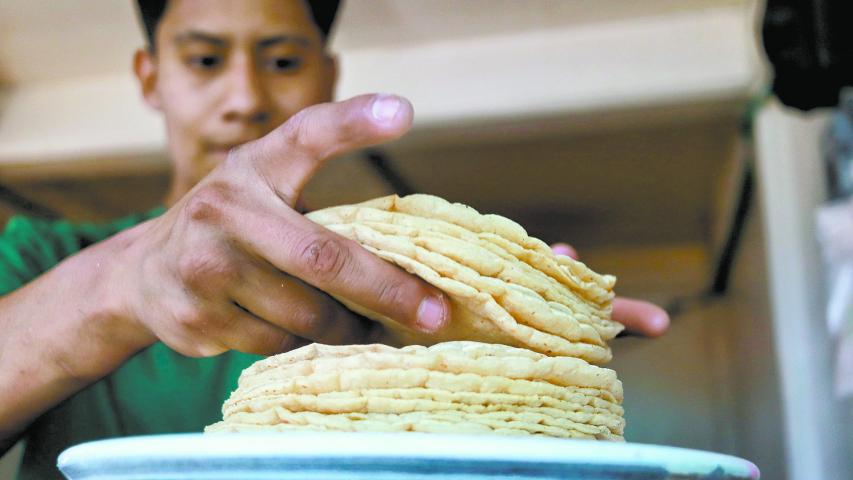 La NOM-187 prohibirá el uso de maíz transgénico en masa y tortilla