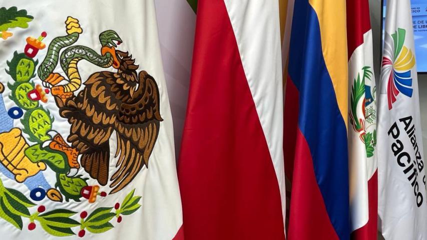 El canciller Marcelo Ebrard informó que se pospondrá la ceremonia de entrega de la presidencia por la crisis política en Perú.  Foto: Twitter.com/A_delPacifico