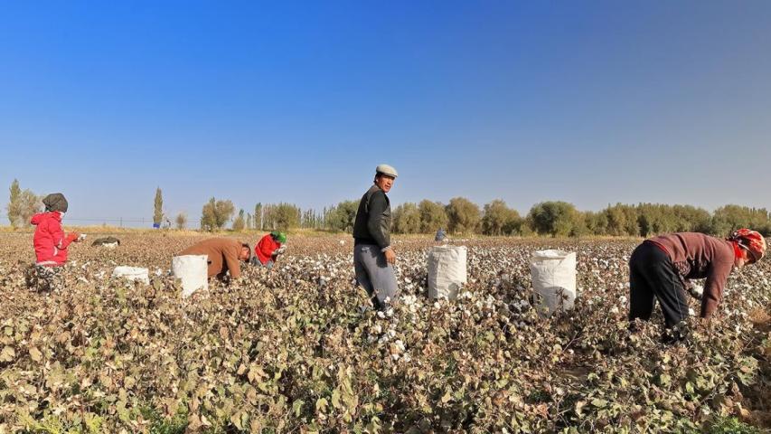 El sector agrícola es uno de los que más registra trata laboral. Foto: Especial