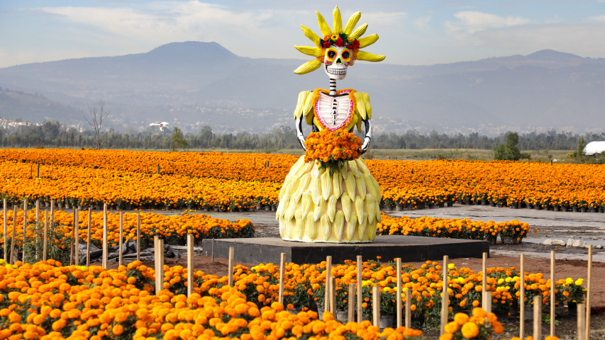 Artesanía y cultura se entrelazan en la Apertura de Venta de la Flor de Cempasúchil. Foto EE: Eric Lugo