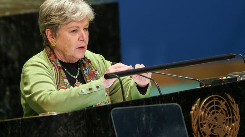 Alicia Bárcena en la ONU.