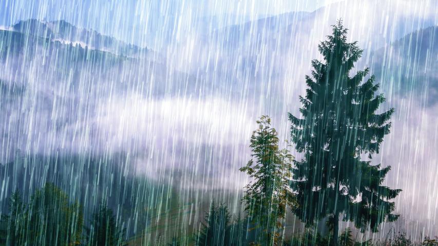 Pouring rain over the green summer Carpathian foggy mountain hills. Rainy weather. Spruce trees in front of a mountain range.