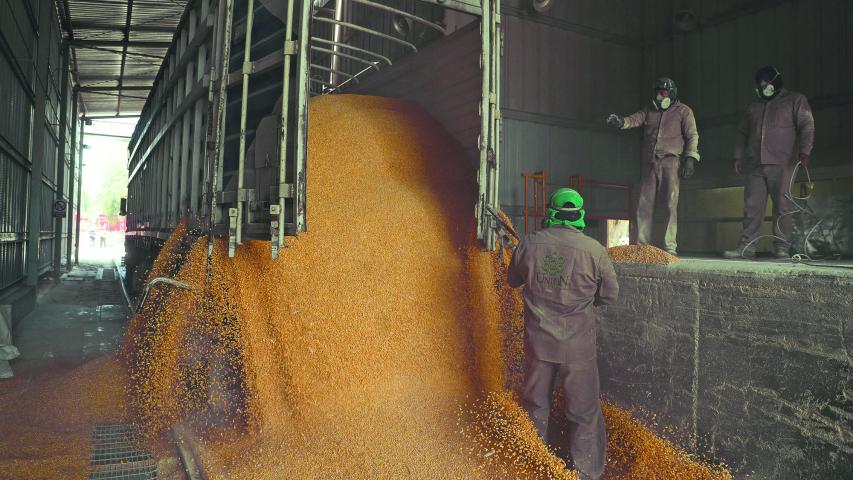 FILE PHOTO: Workers unload a truck with GMO yellow corn imported from the U.S. at a cattle feed plant in Tepexpan, Mexico March 15, 2023. REUTERS/Raquel Cunha/File Photo