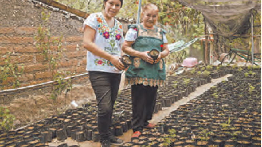 Mujeres comprometidas con el empoderamiento de otras mujeres productoras de mezcal