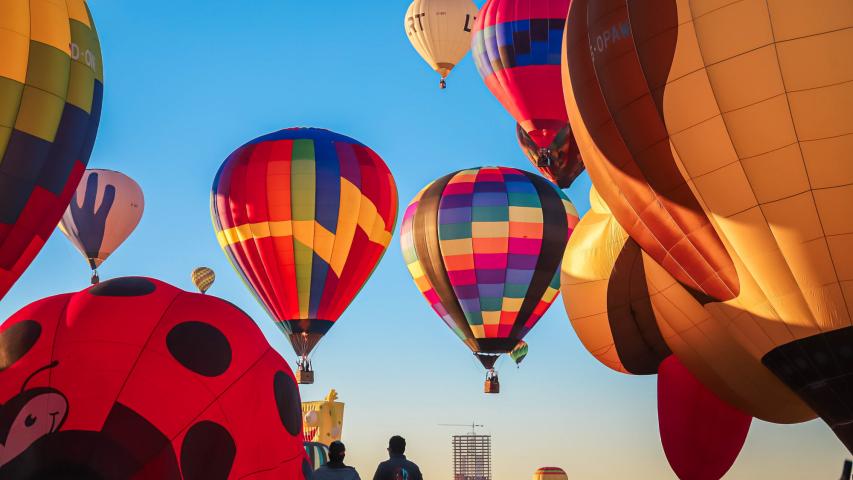 Festival Internacional del Globo del León